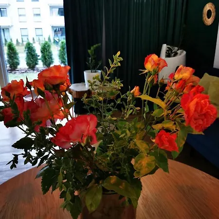 Open'er Festival- Nadmorski Apartment